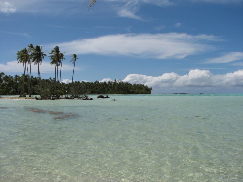 letahaabeachinfrontofpoolarea.jpg